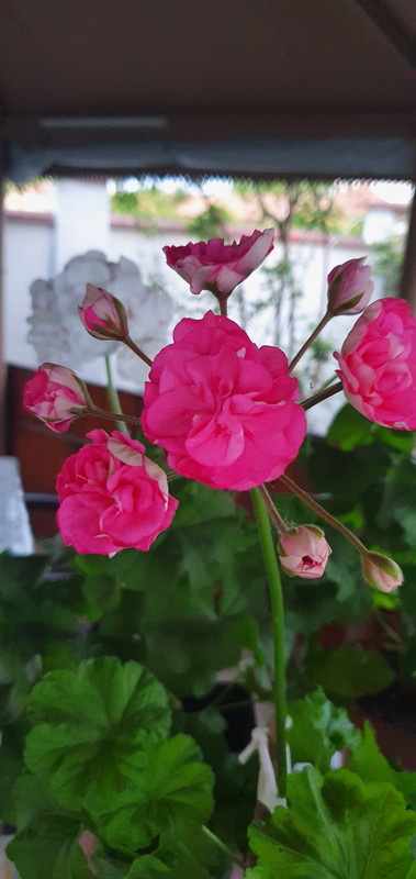 20220527_204014