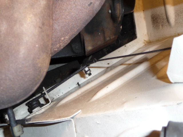 fixation cable
