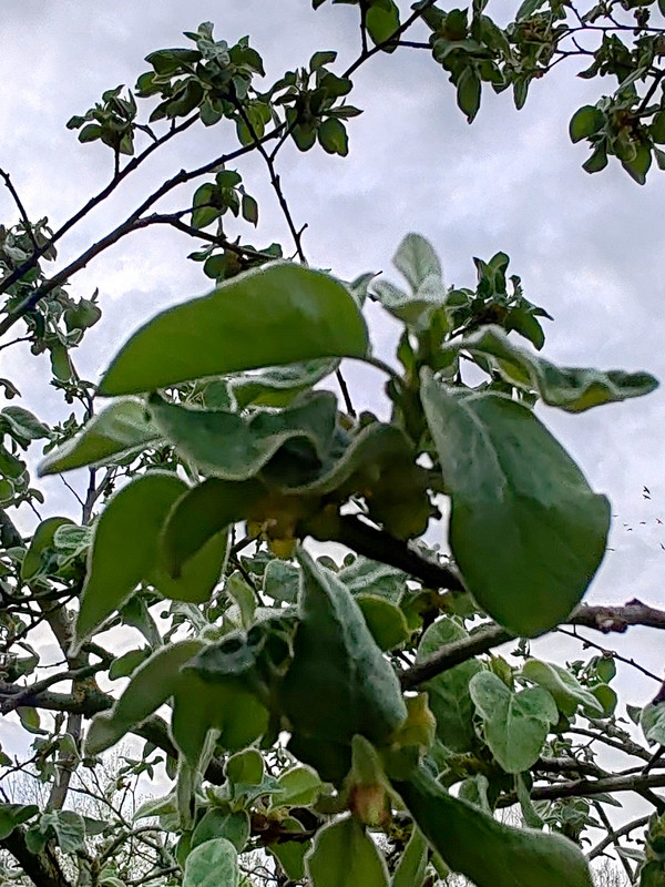 IMG 20260413 191158bb