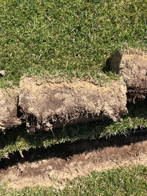 C6B0E34B-A4AB-4350-8CA6-947E0BEAC021