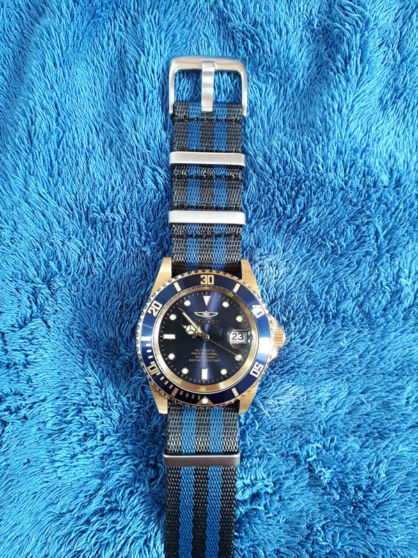 dorado azul bitono 1