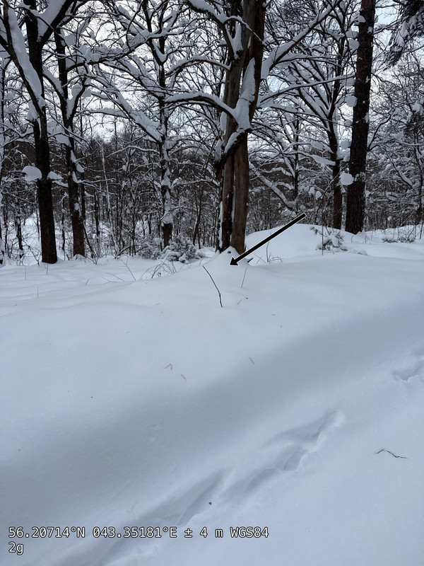 29C84EE9 3DF8 4E89 A2FF 99518DFA1B92 49825 000007DCD159B2E3