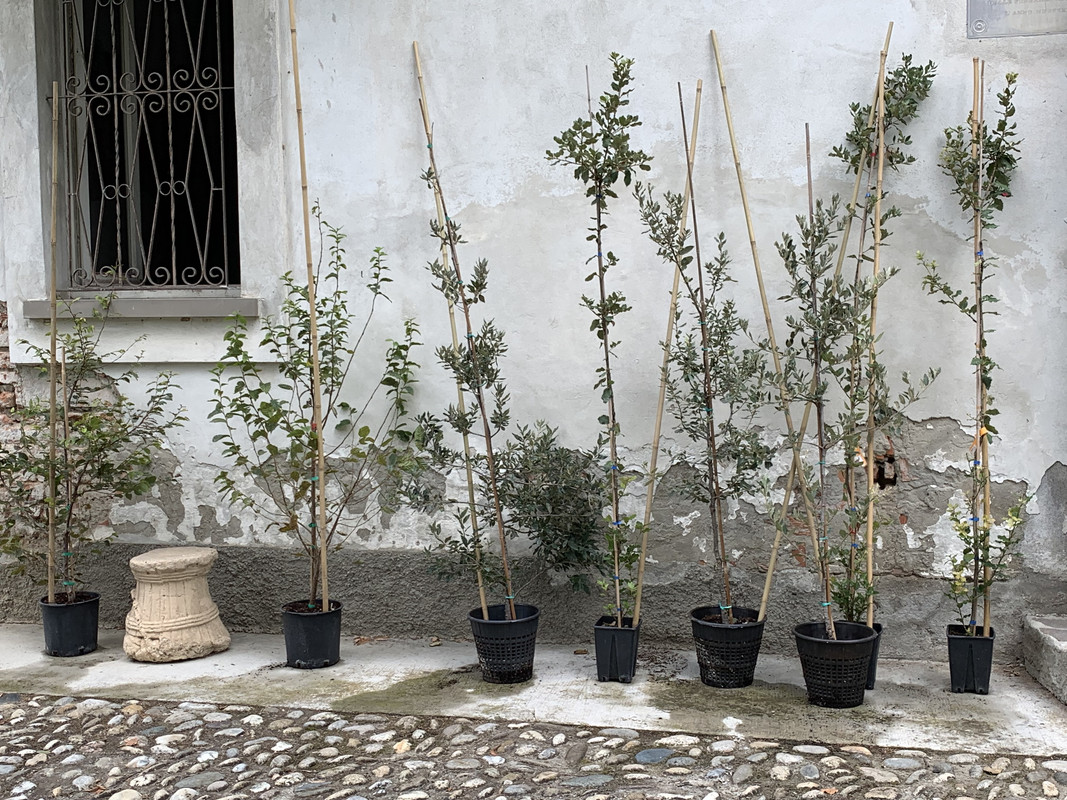 AD1F30A3-C391-4E97-A2DE-F4A5A3393E1F