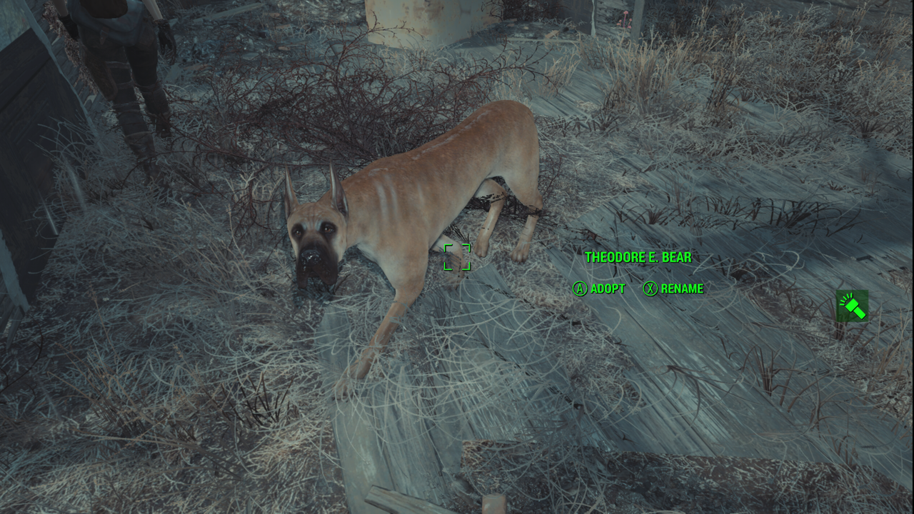 BBAF77C3-BDC1-425B-8664-8DDB72C129A4