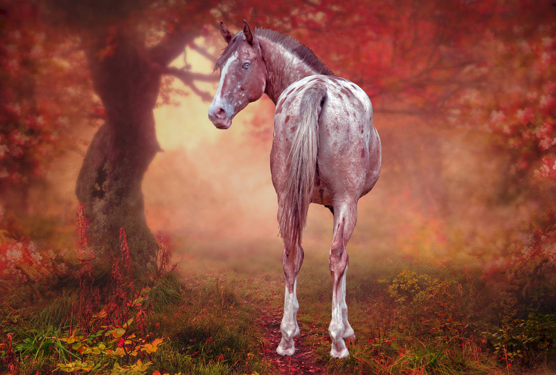 2022_05_27_0tx_Kleki (1)