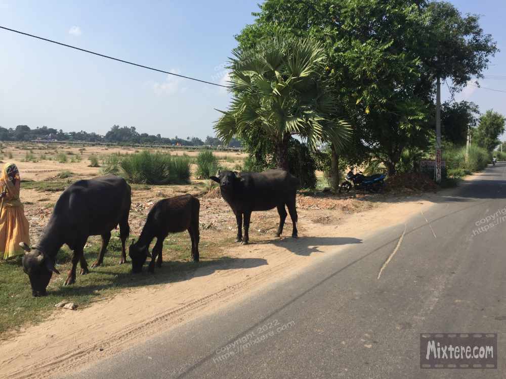 BBG&B4BackinBodhGayaPics - 9