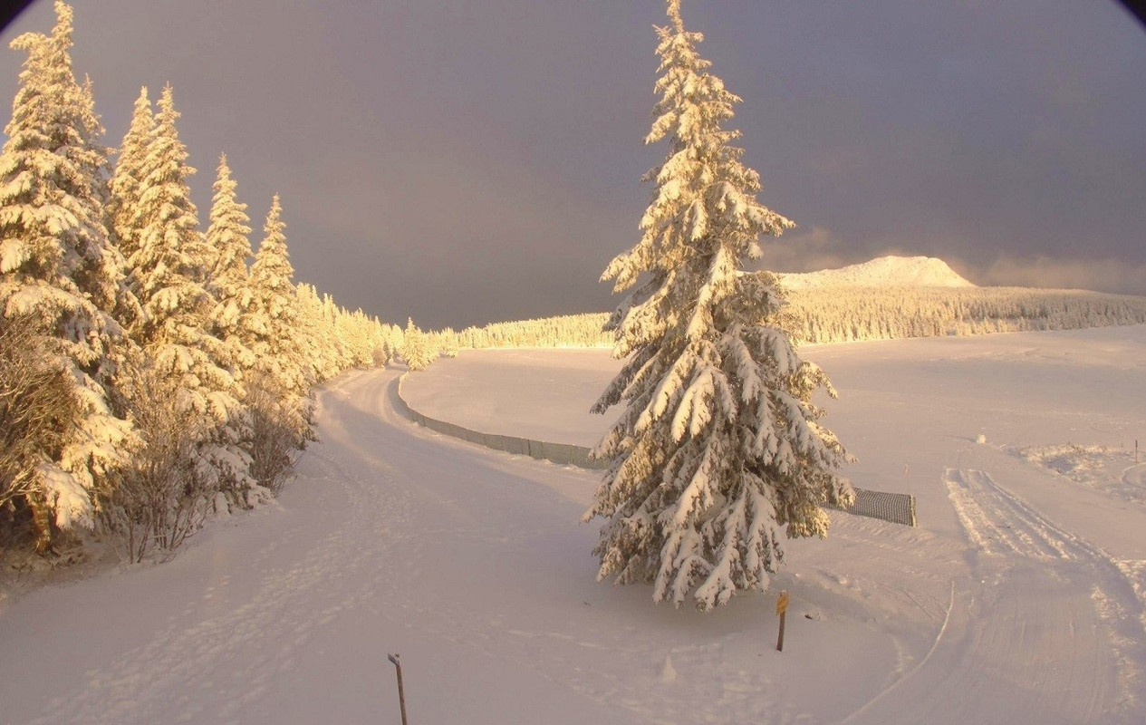 les-estables-ski-nordique-2022-12-04-16-