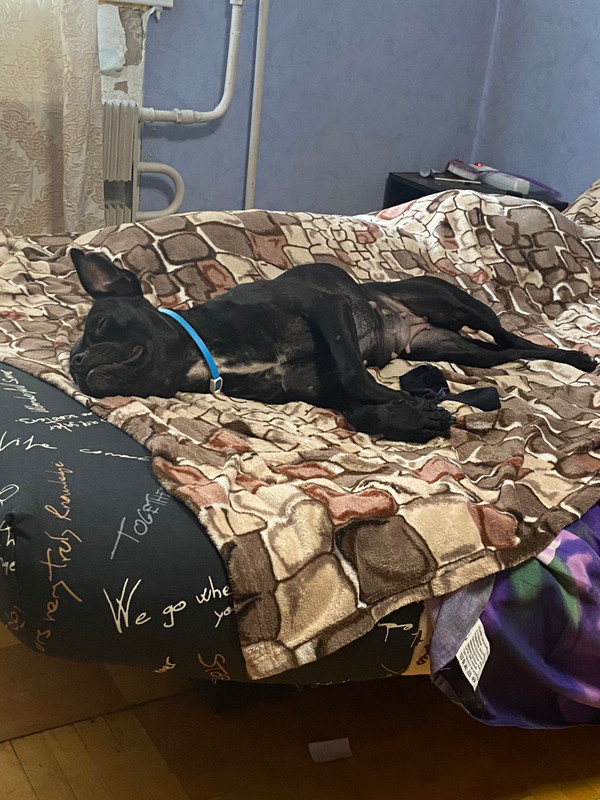 FD8E0930-EA90-44C4-B457-2E4E2BC56480