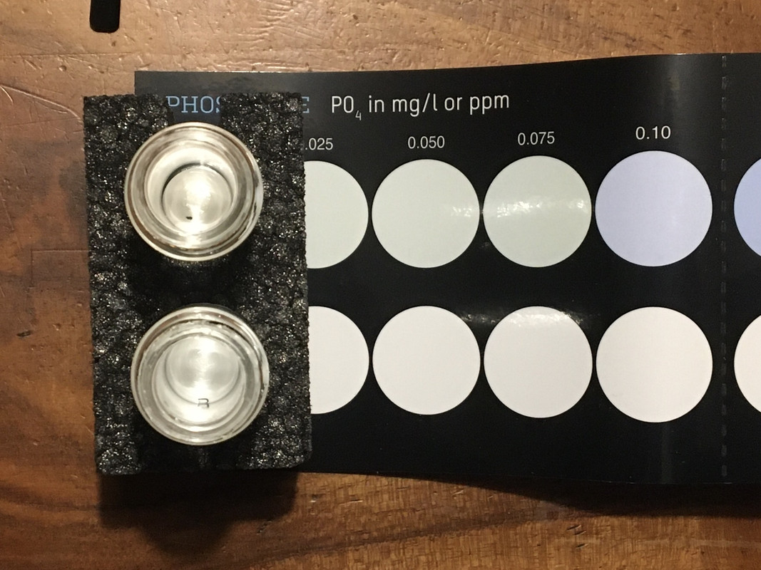 36A7EA8B-B931-4DAA-9015-99A1908961DF