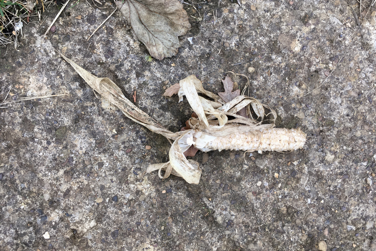 2A185A37-8DAD-43A3-A047-82104851E64D