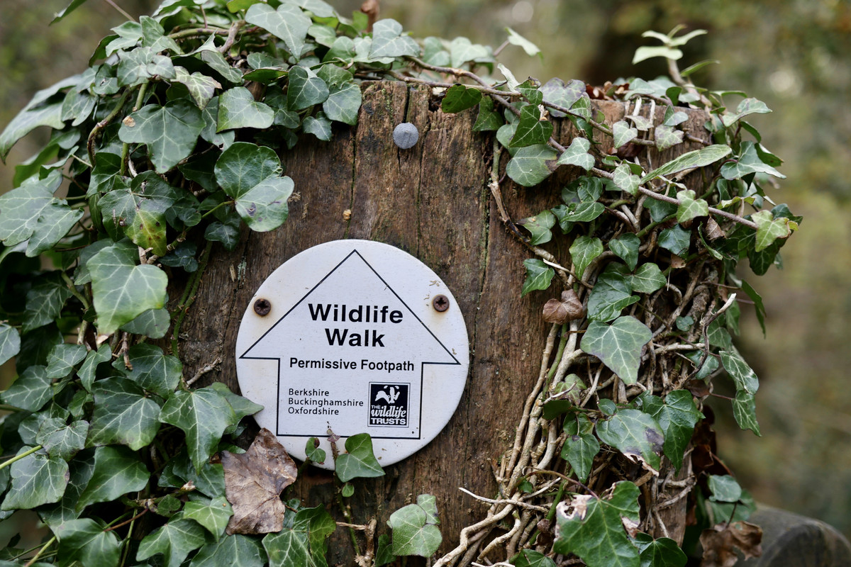 7DAC71F0-5A87-42A8-BFB2-9E78154D5143