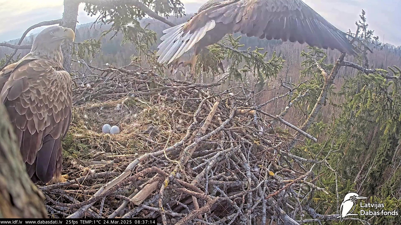 vlcsnap-2025-03-24-07h48m44s893