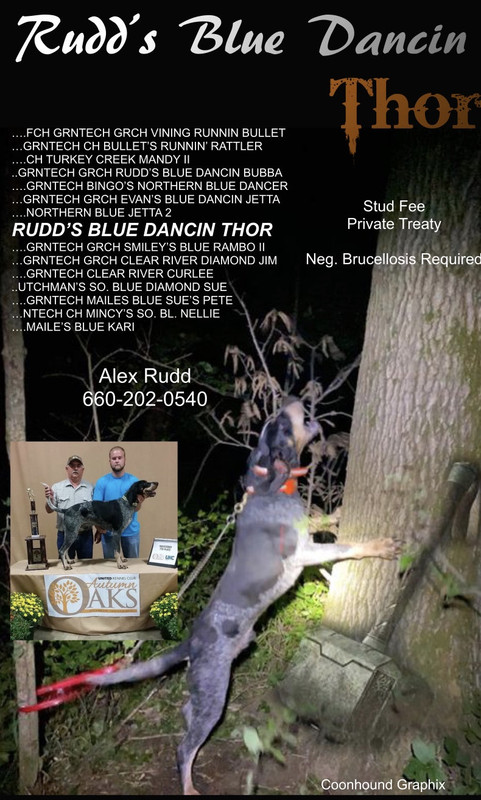 C3C4550F-EC5C-4D8D-ABA2-22C429C3415A