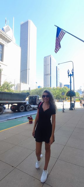 Caminando por Chicago: Esculturas, the Bean, lugares de películas y Torre Willis - Boston y Chicago (24)