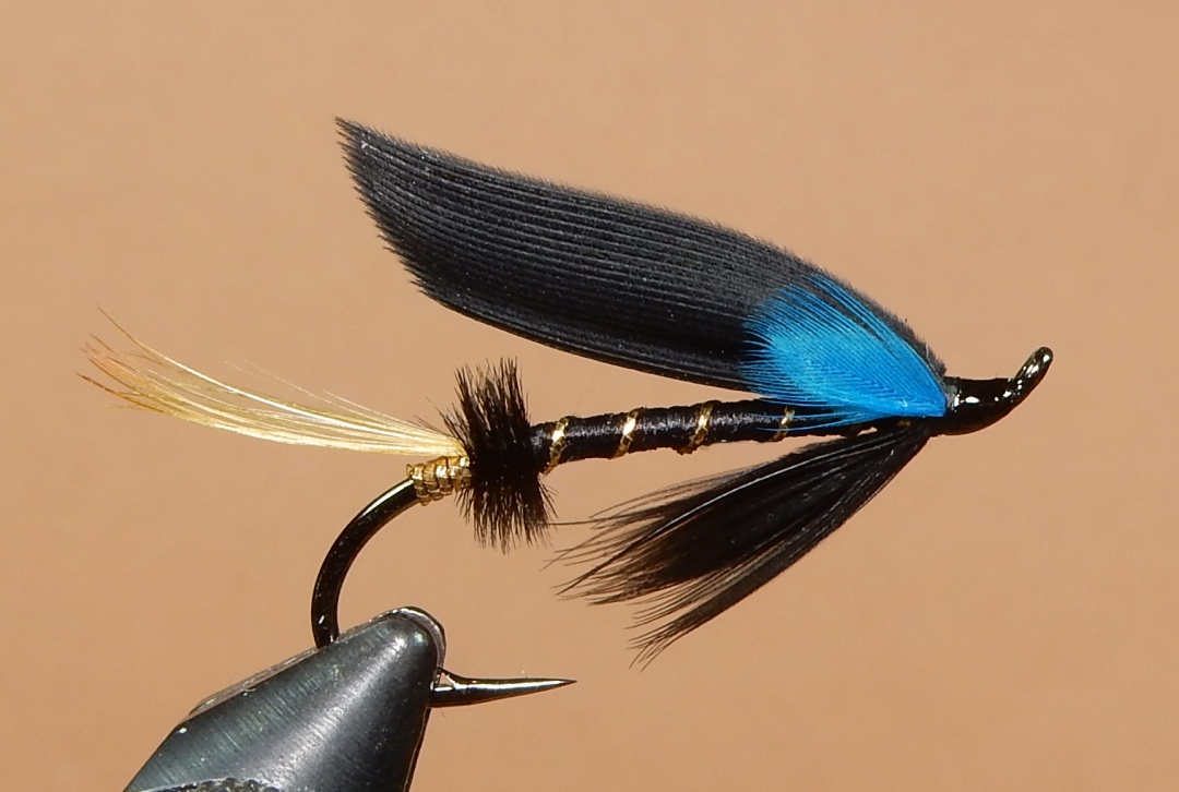 Sweep-1080.jpg