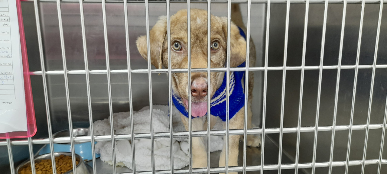 20220329_073332