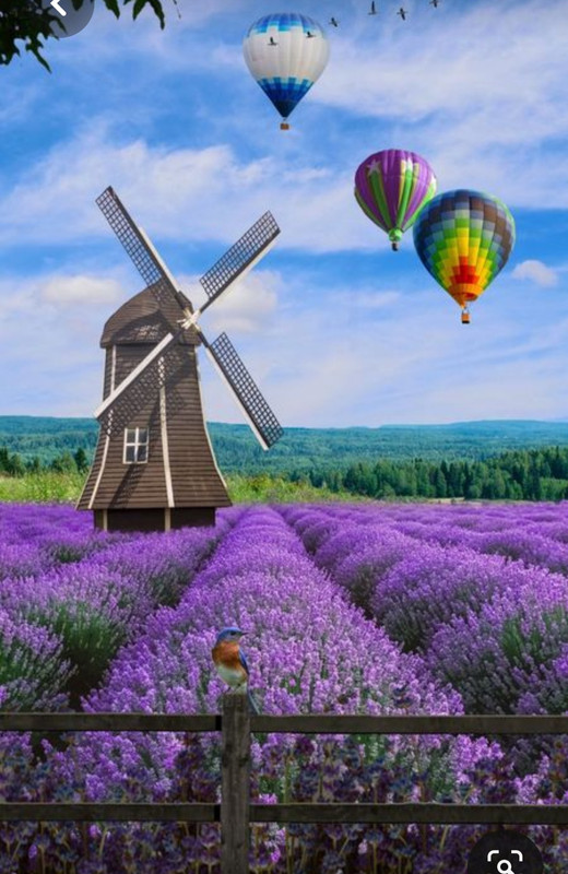 Screenshot_20230412_230213_Pinterest