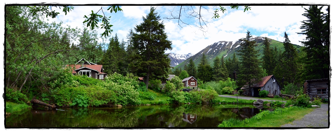 Alaska por tierra, mar y aire - Blogs de America Norte - 20 de junio. Turnagain Arm, Crow Creek Mine, y… zarpamos! (7)