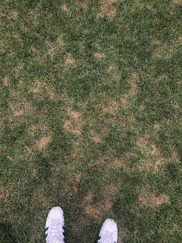 4887F6FC-8FE8-4D09-844B-7D59039A9321