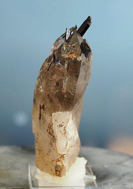 P6200500.jpg