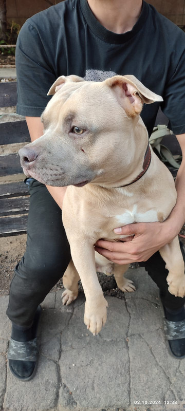 WhatsApp Image 2024-10-02 at 13.10.39 (1)