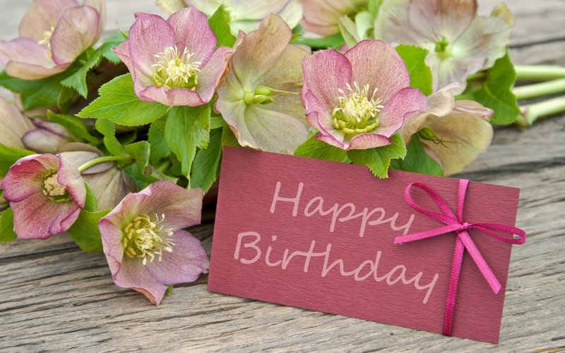 91D9F182-AFF4-435E-BCB1-5E13209B89F1