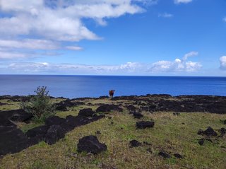 Terevaka:Ahu Te Peu-Vai Mata-Ana O'Heu-Ahu a Tenga-Hanga O Teo-Papa Tekena - Isla de Pascua - Chile (6)