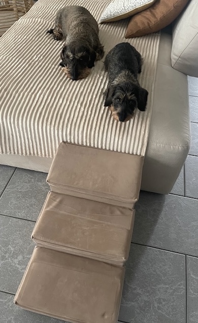 [Image: IMG-6550.jpg]