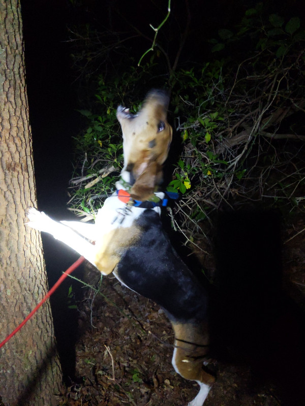 00015XTR_00015_BURST20190509221846