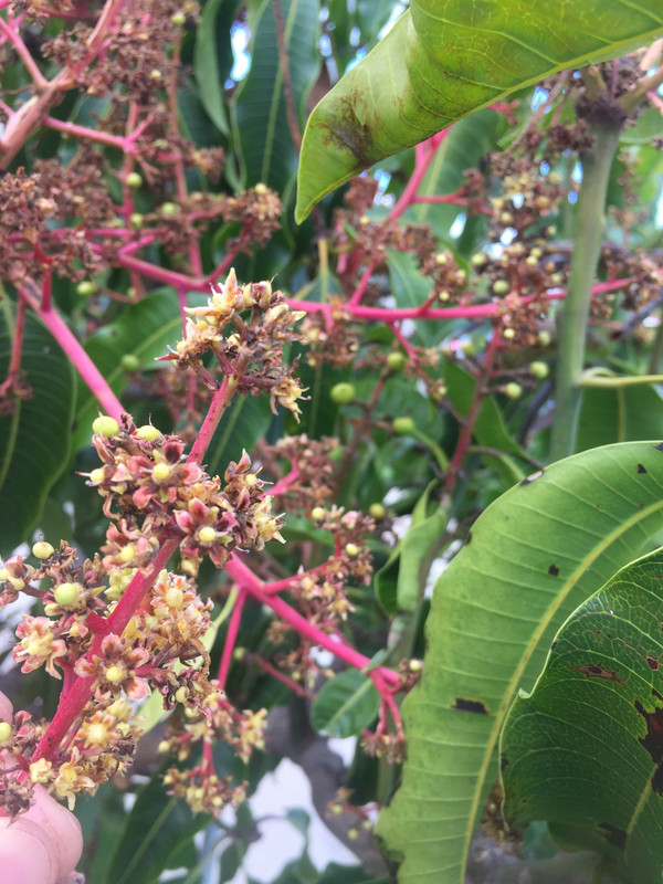 624DCC78-5850-4984-97C5-76DADEDD547A