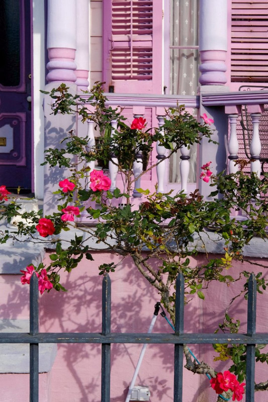 pinklouisianahouse.jpg