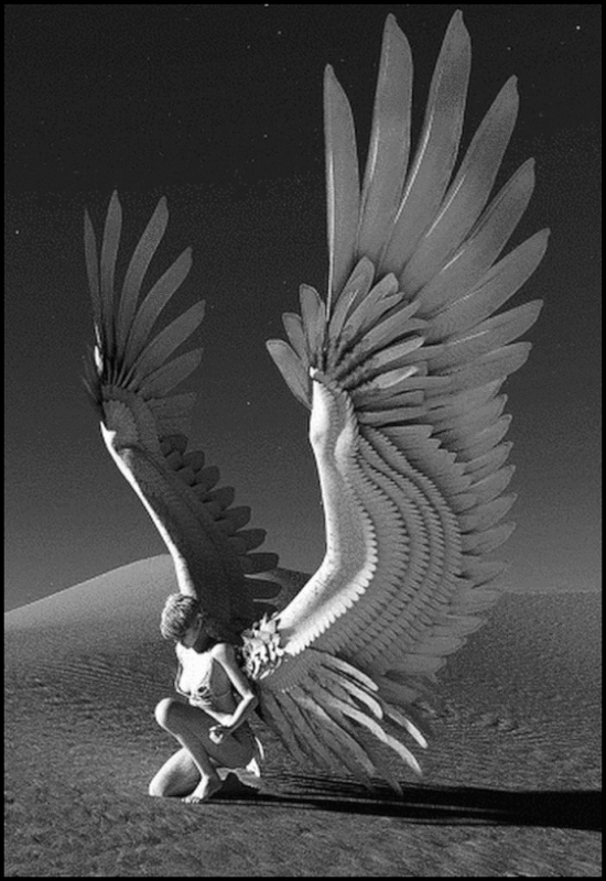 157953353793732282 (38)