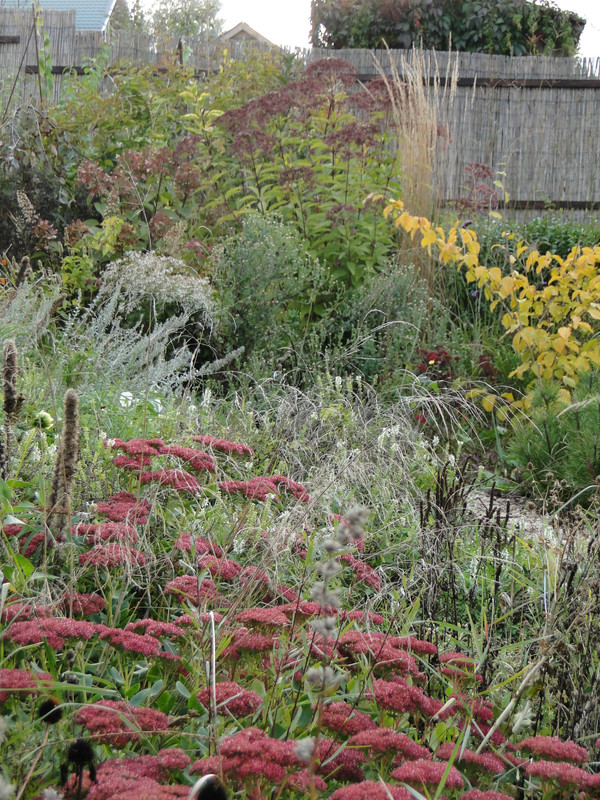 DSC00252