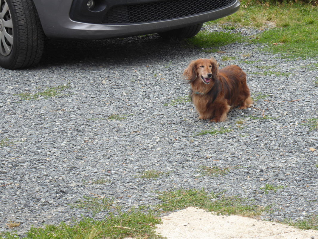 [Image: P1030583.jpg]