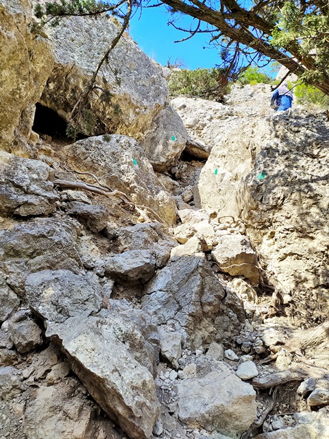https://i.postimg.cc/vmxnZ6gw/IMG-20210920-123814.jpg
