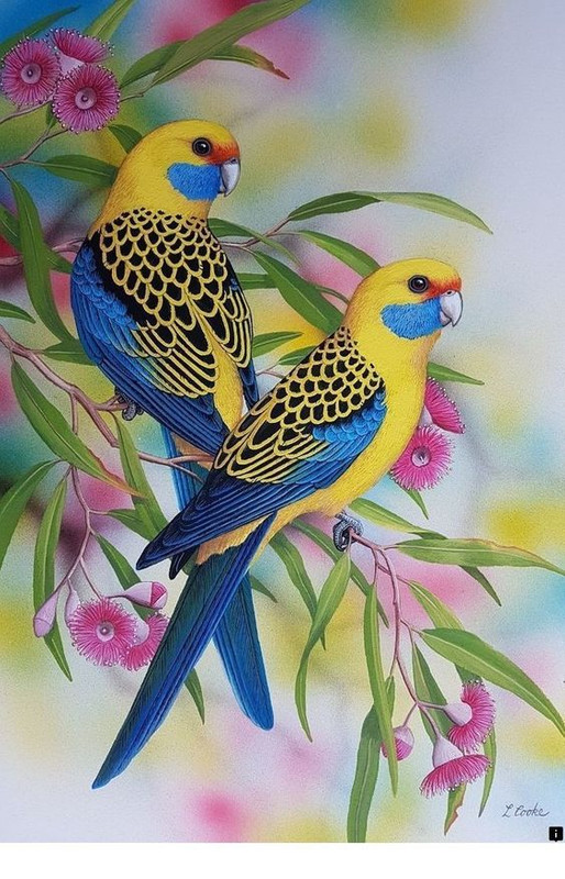 yellowandbluebrids.jpg