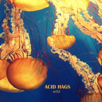 [Slika: Acid-Hags-Wild-folder.jpg]