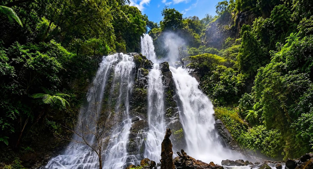 Pic5-n-atkb-aneme-khong