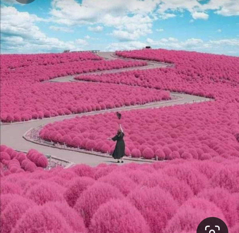 Screenshot_20230402_231759_Pinterest