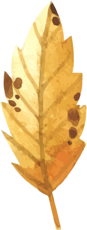 IPD_WP_Element (146)