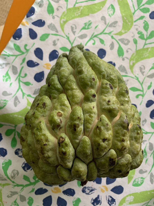 596AF598-9EEC-4D22-B02B-1BEE813B001D