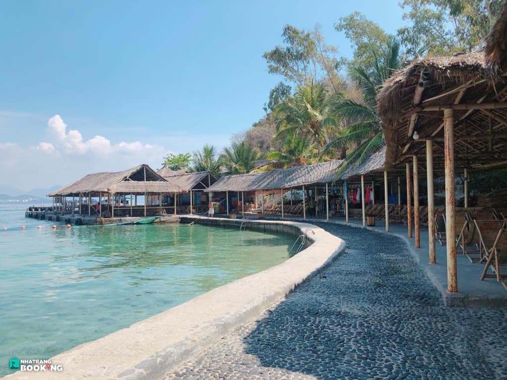 Tour Vip Hòn Tằm - Con Sẻ Tre