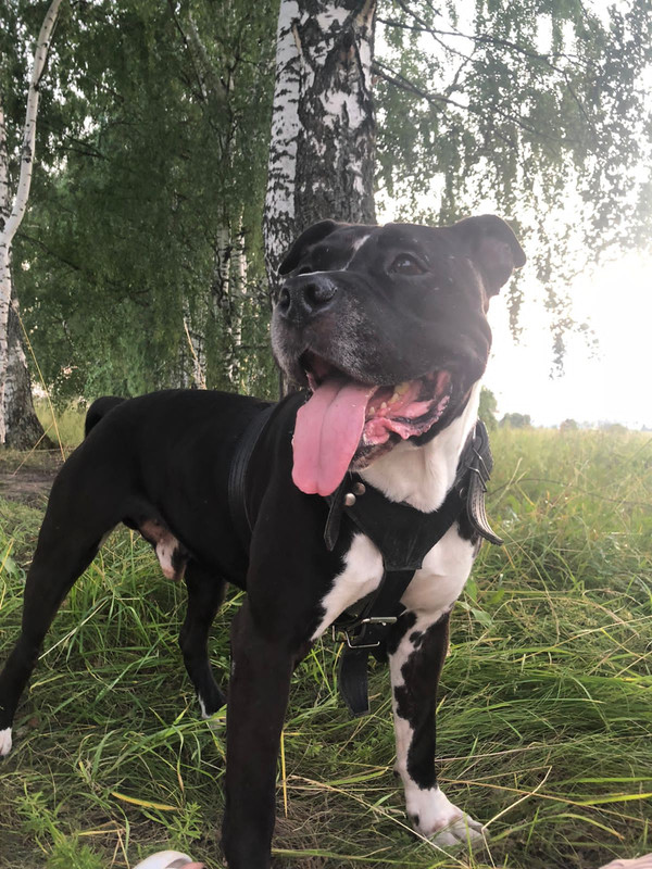 125DA4CA-122B-4E1B-BD5F-83DA42FCA7BB