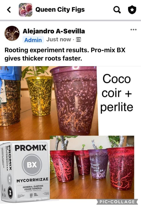 promix rooting
