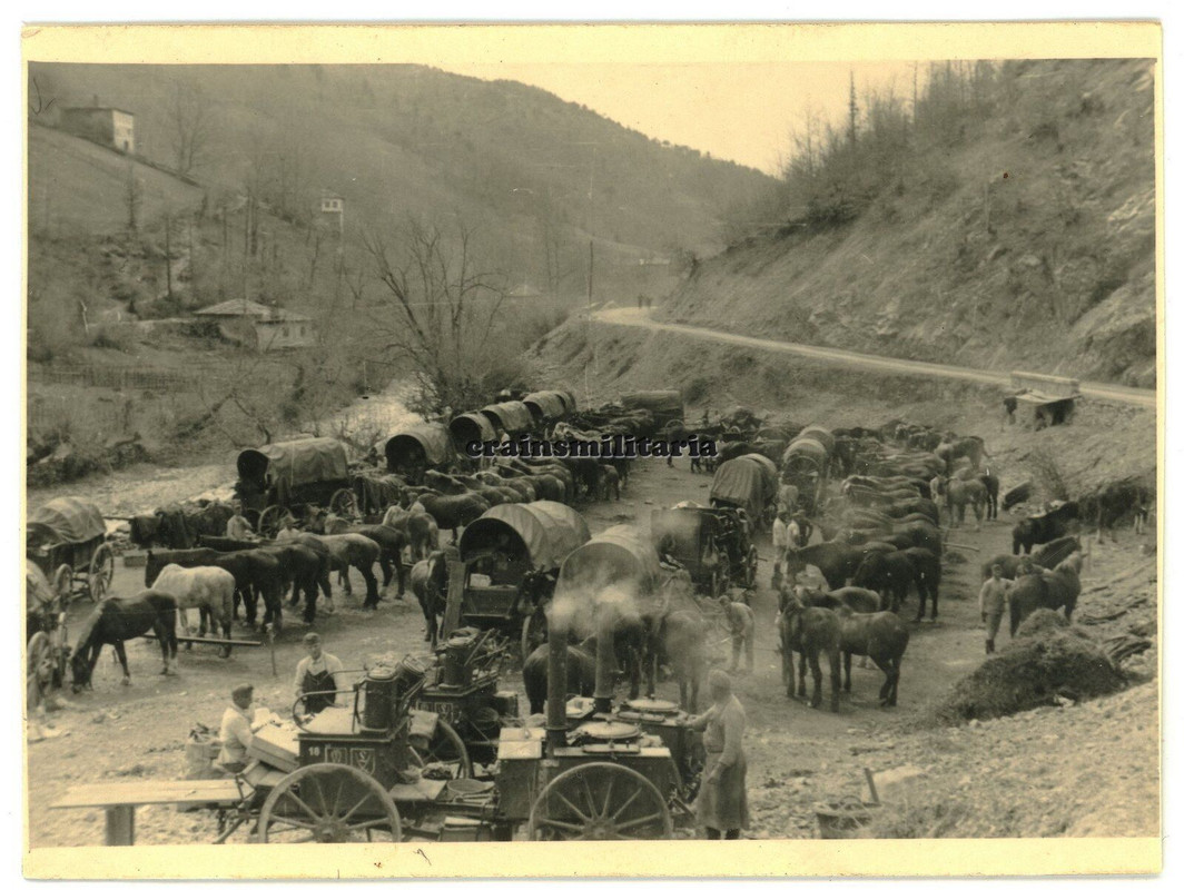 Orig. Foto Feldküche Gulashkanone Wagen m. Wappen vor SOFIA Bulgarien 1941 Pferd
