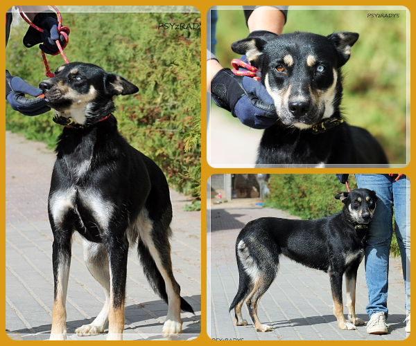 BeFunky-collage (22)