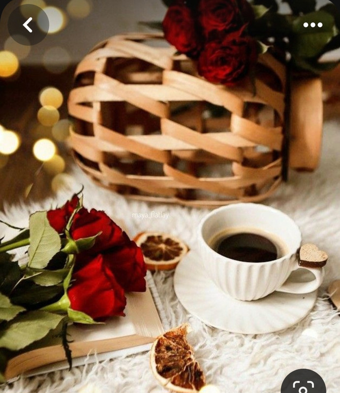 Screenshot_20230905_011752_Pinterest