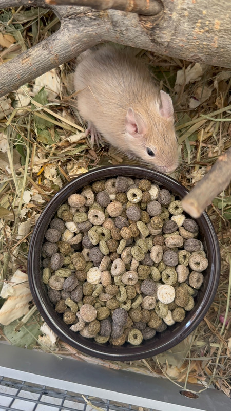 Gu0mCws3lm314BYhHMvjbJrEGxCLJvCyxSKijq35nE8_xUH7WYPaaKfm2SiYGlq4l5gIPAMBNNg8XT1xnq9xLNTX