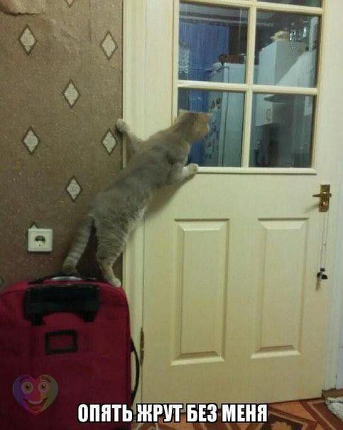 f974ab06b9a5820245e1e8944bc18f42