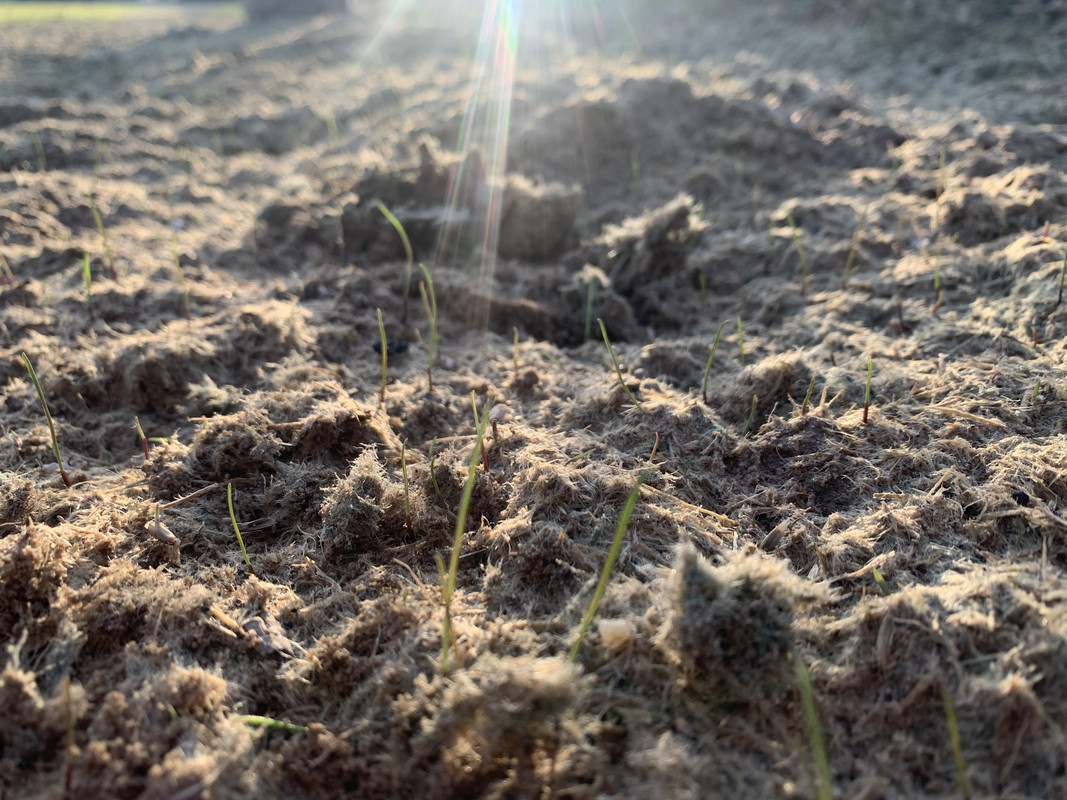 2192C92A-336F-4846-9981-9780444FE464